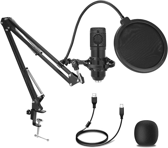 Condenser Microphone, Professi - огляд і ціна Streaming Mic Condenser